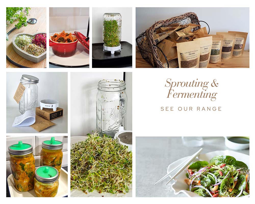 sprout & ferment