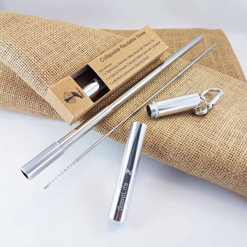 Straw Kit, Collapsible Reusable - Silver