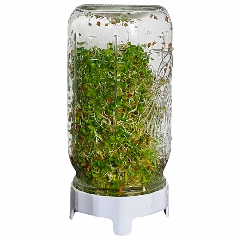 Sprouting Jar Kit 1 Ltr