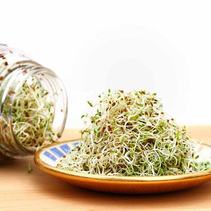 Sprouting Seeds - Alfalfa 100grm