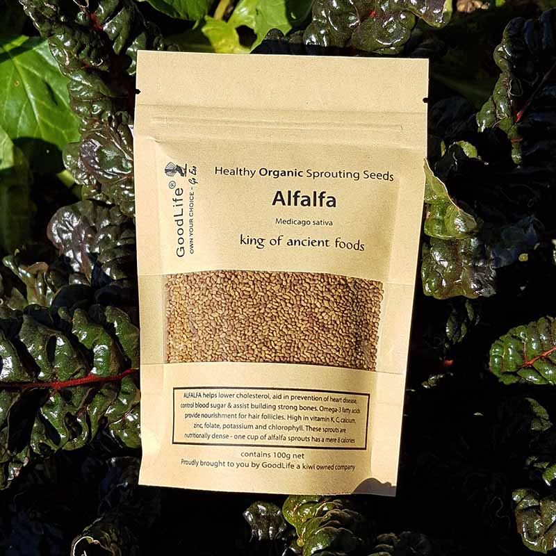 Sprouting Seeds - Alfalfa 100grm