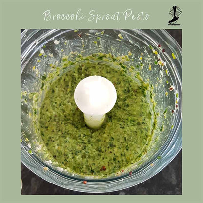 Sprouting Seeds - Broccoli 100grm