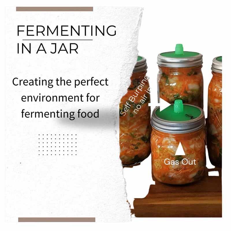 Fermentation Jar Kits 500ml