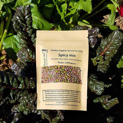 Sprouting Seeds - Spicy Mix 100grm